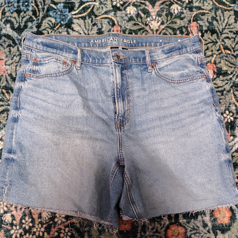American Eagle Relaxed Strigid Denim Jean Shorts
